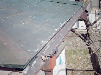 宇都宮市雨樋現調T様邸屋根