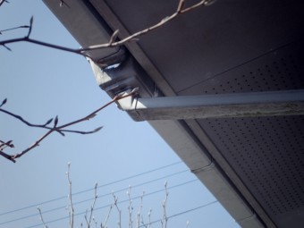 雨樋現調エスロン集水器
