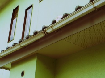 真子町、雨樋軒樋の全体の落ち