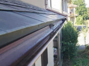 芳賀町、雨樋現調、北面