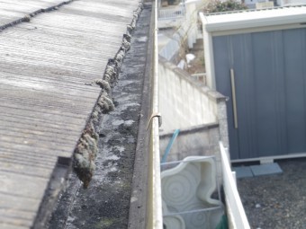 土が溜まっています