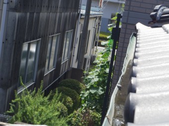 小山市H様南面1階部分軒樋
