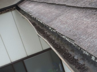 鹿沼市N様、雨樋破損