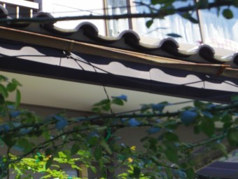 芳賀町H様、南面下屋軒樋