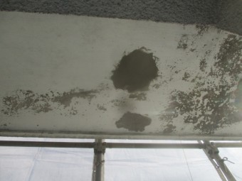 軒天補修完了です