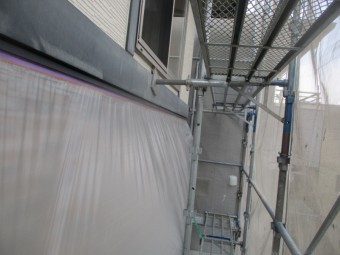 引っ張り養生をしました