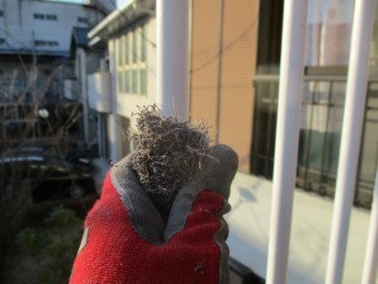 格子のけれん中です