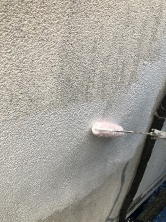 フィラー下塗りローラー塗装中です