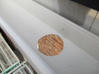 軒樋の集水器に穴を開けました