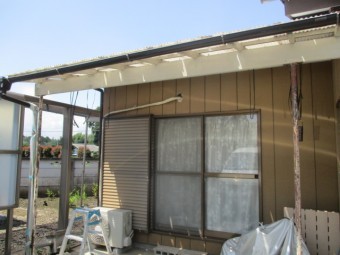 全景です