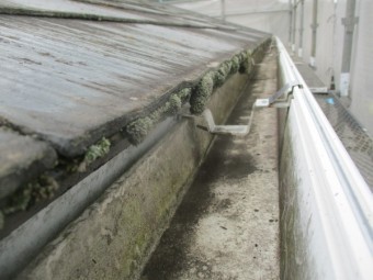 洗浄前の軒先の状態です