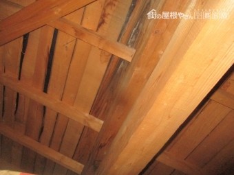 雨漏り箇所を確認しました