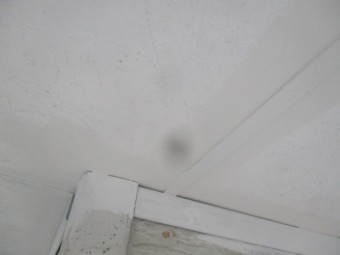 軒天の刷毛塗装が終了しました