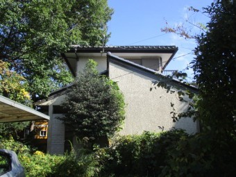 全景です