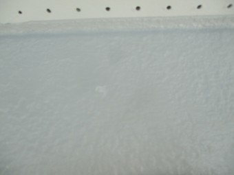補修前の外壁の状態です