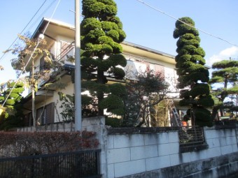 施工前の全景です。