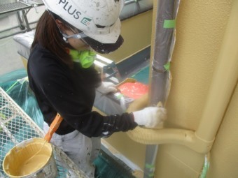 上塗り刷毛塗装中です
