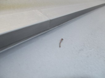 釘が飛んでいます。