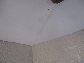 入隅出隅は垂木に合わせ加工して取り付けます