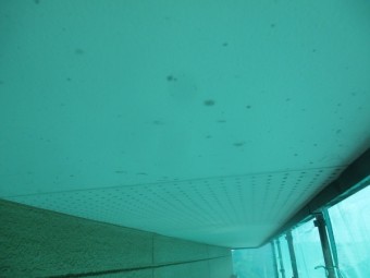 洗浄前の軒天の状態です