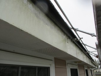 雨樋撤去終了です
