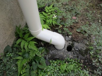 排水枡に縦樋を配管しました
