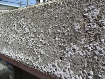 パラペット塗装前の状態です