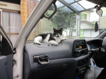 本日の工程が終了しました