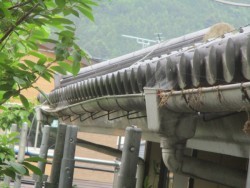 既存の軒樋です