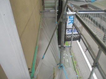 引っ張り養生をしました