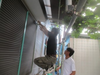 養生中です