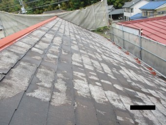 下塗りのプライマー塗装が終了しました