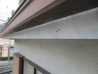 下塗りをしました