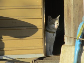 現場監督です