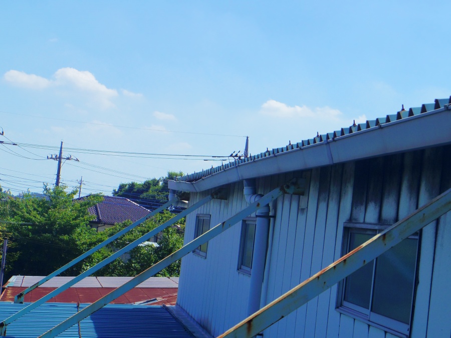 鹿沼市の工場に雪害による大型雨樋の現場調査に行って来ました。