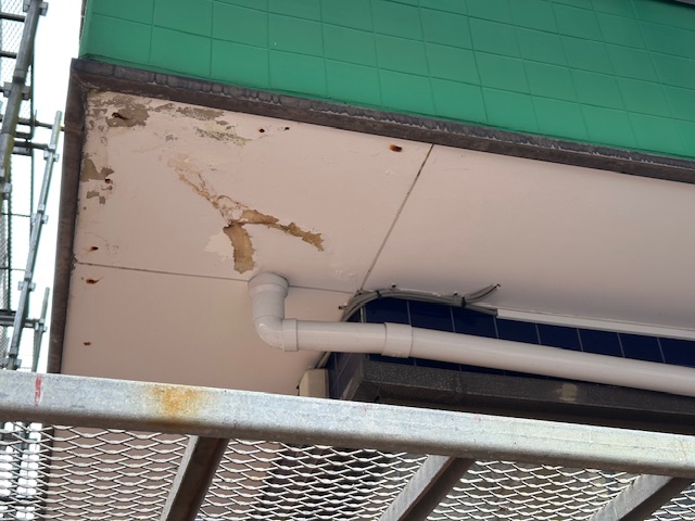 洗浄後の軒天です