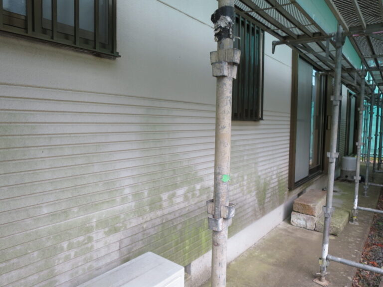 外壁下部の苔・汚れの付着状況