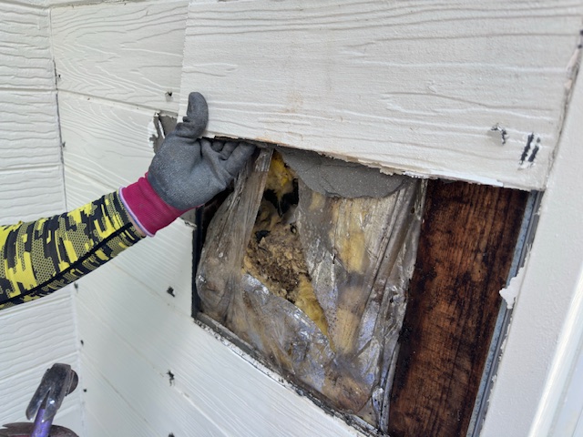 補修個所の解体中です