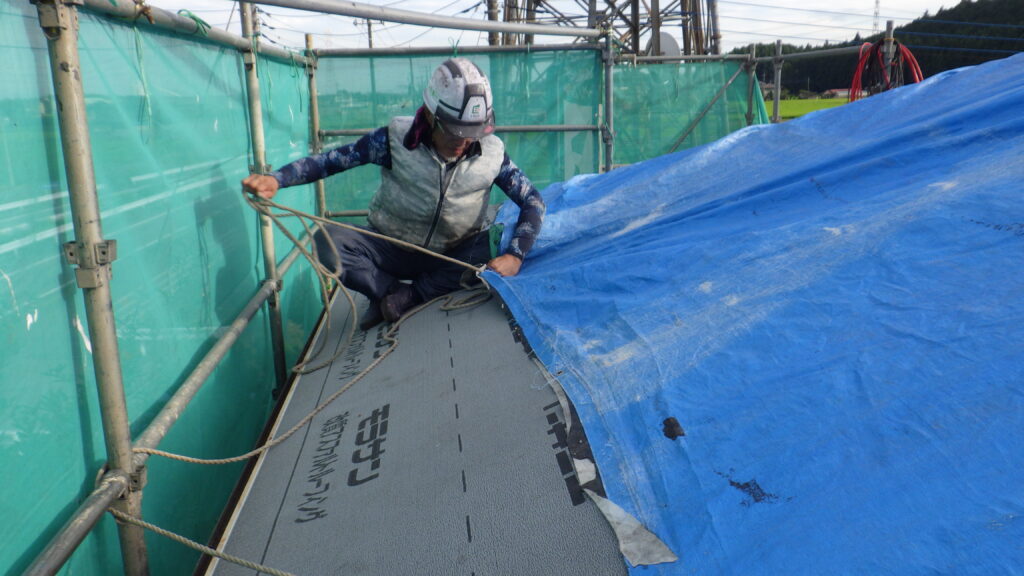 雨養生です