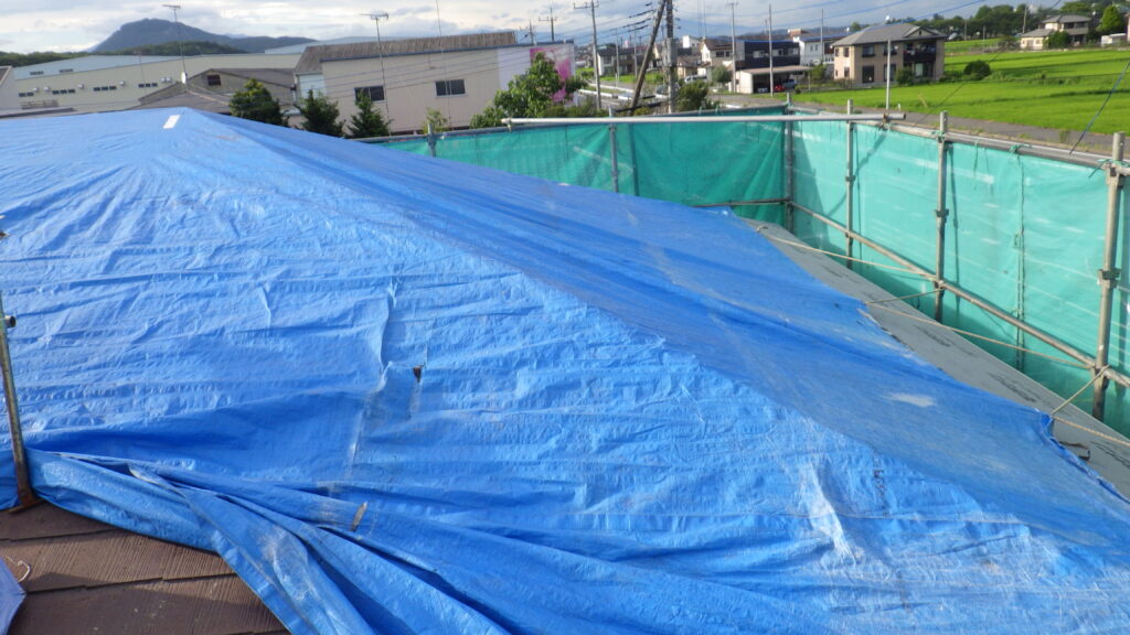 雨養生です