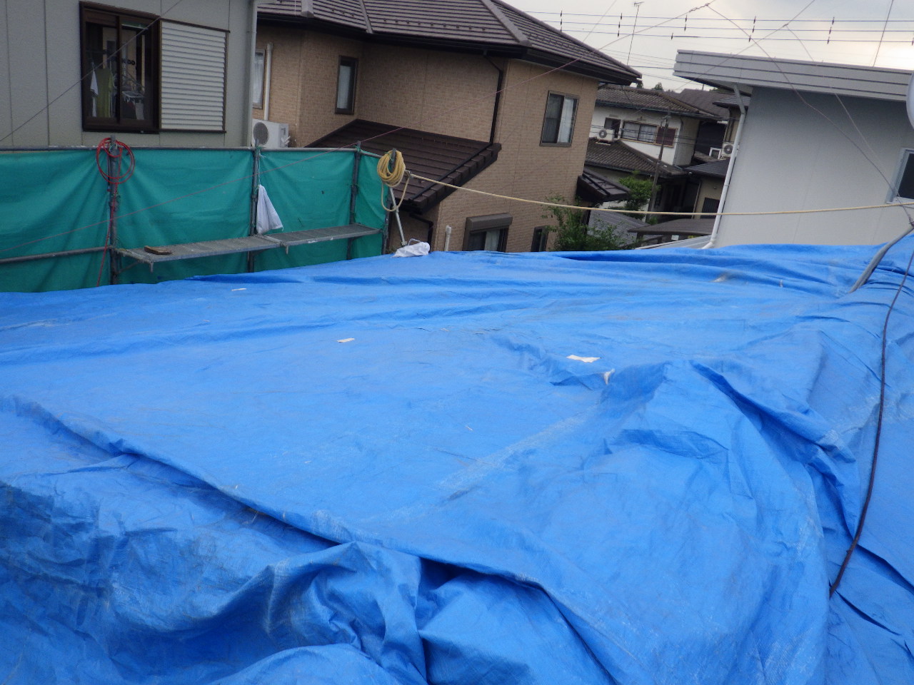 雨養生をしました