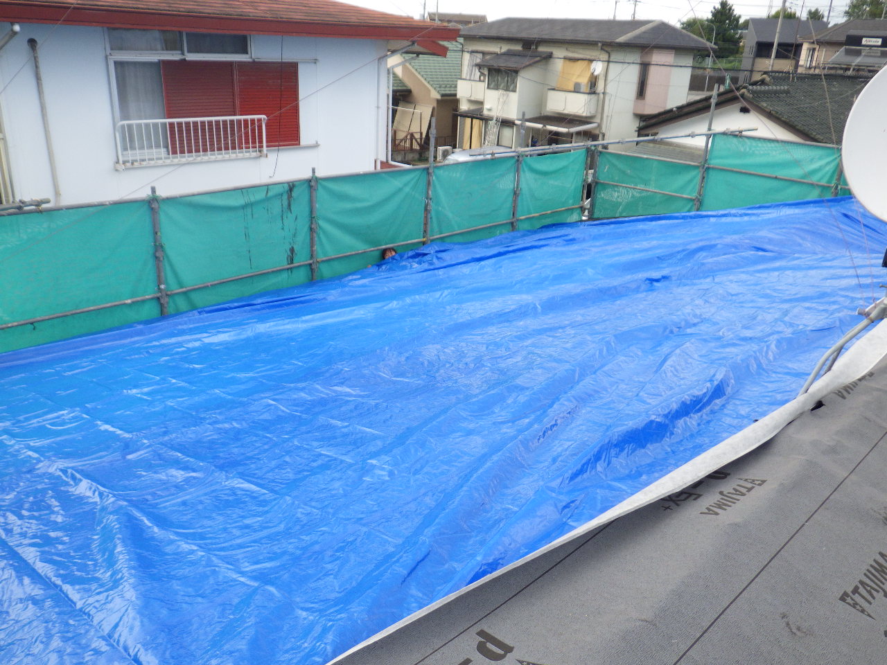 雨養生をしました