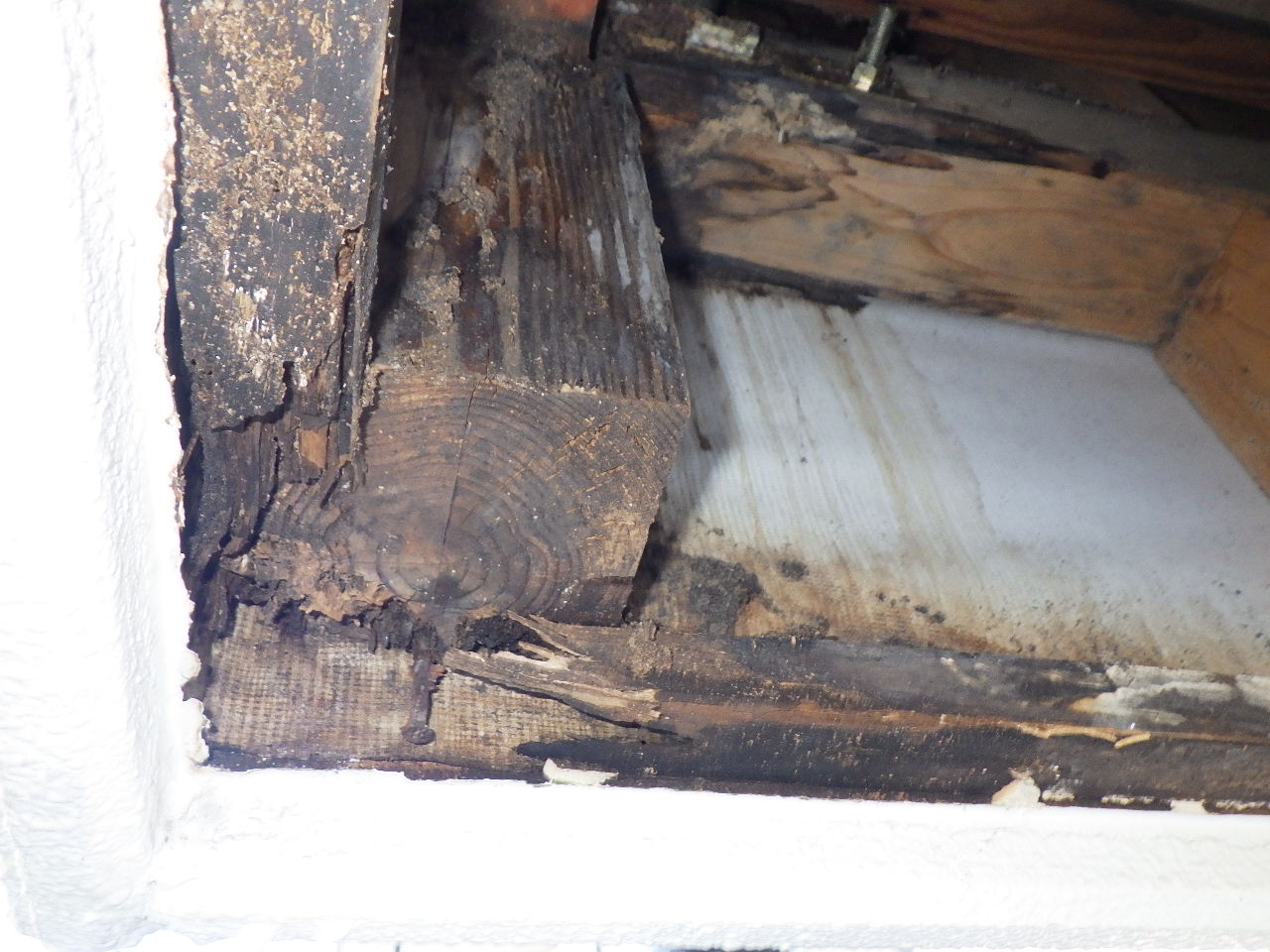 腐食部分の解体と確認