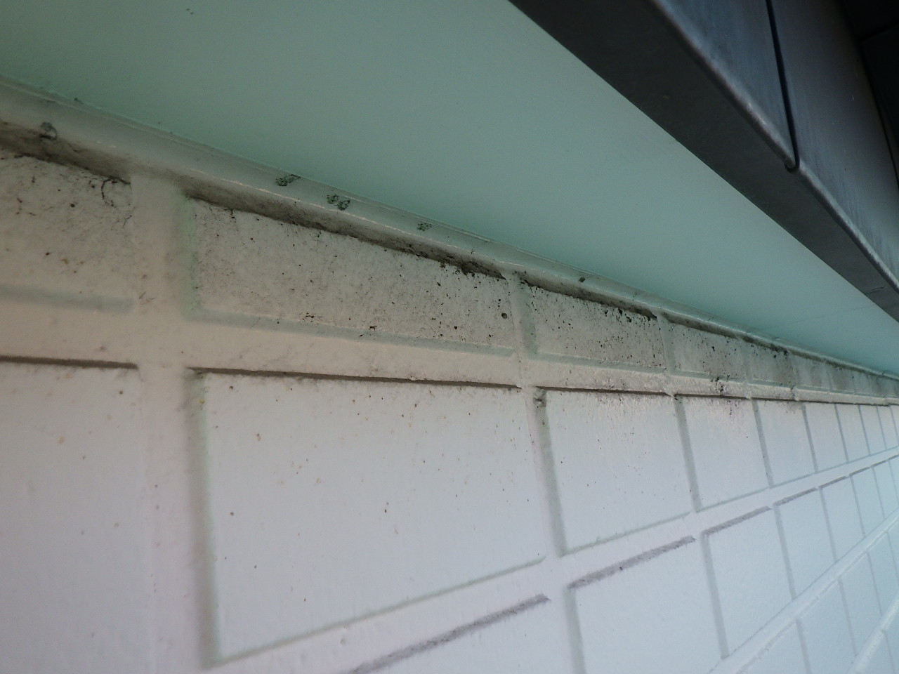 外壁上部に付着した汚れの確認