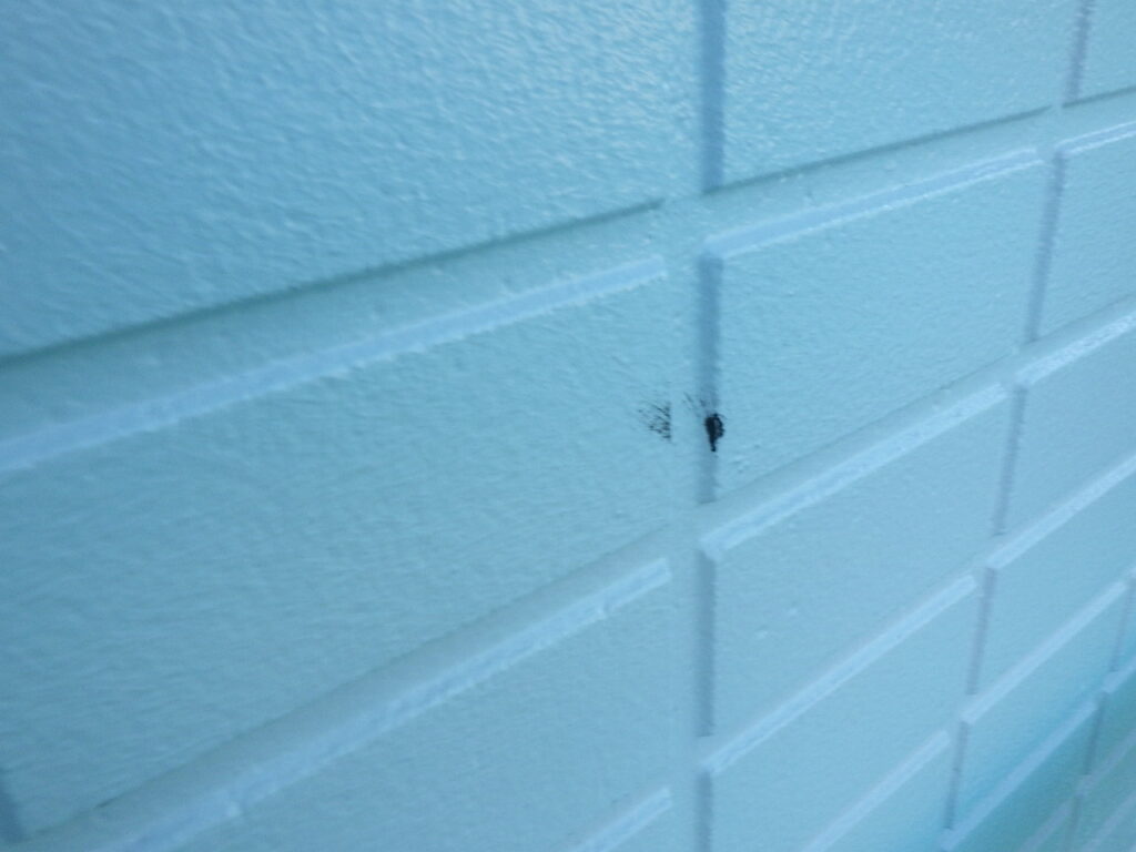 汚れた外壁の状態です