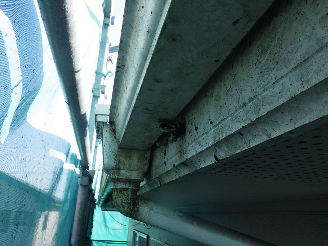 雨樋の外側に広がる汚れ