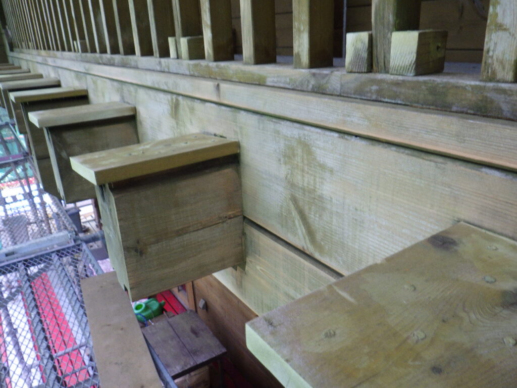 ケレン磨き終了です