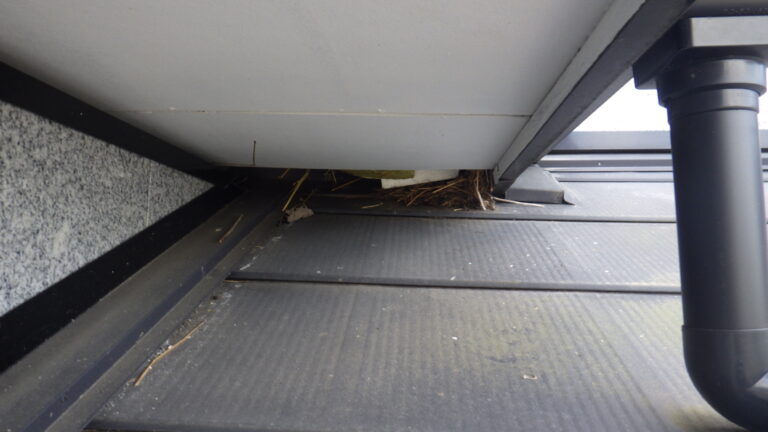 軒天補修前です