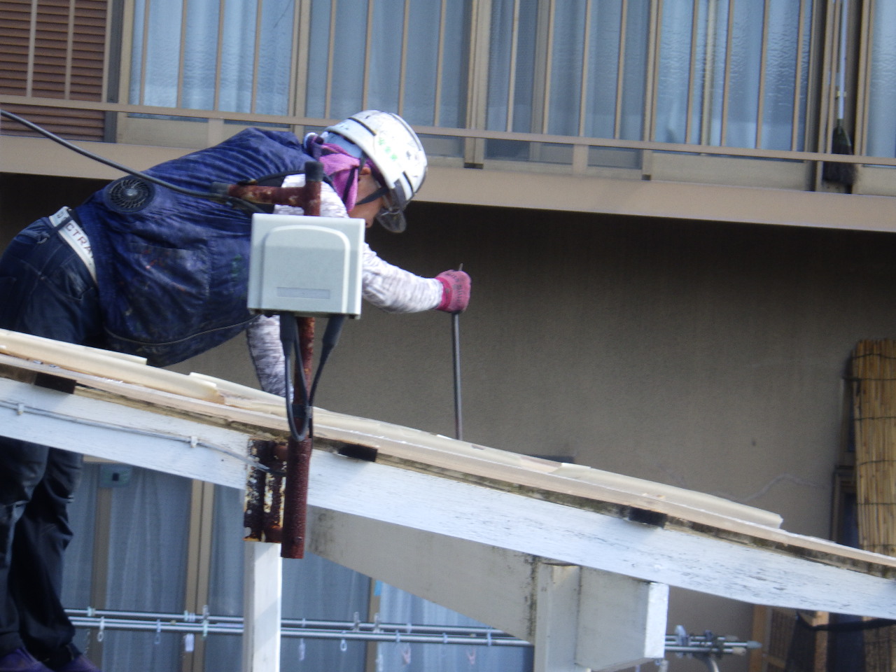 既存波板の撤去作業