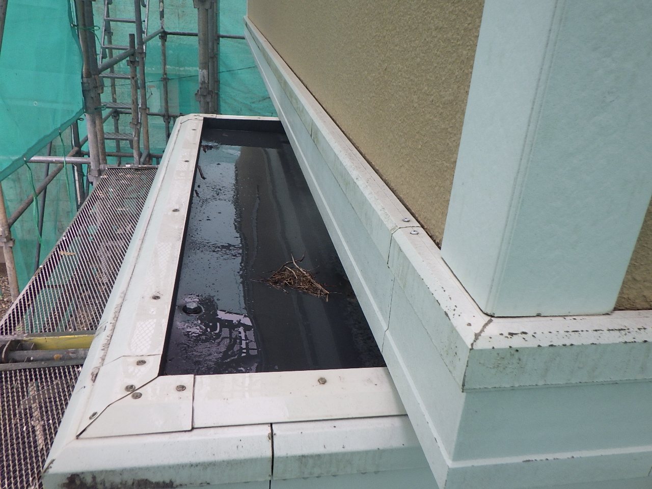 屋根まわりの排水部（箱樋）の滞留とゴミ堆積